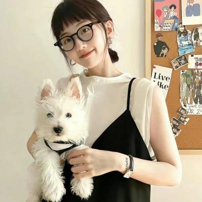 恋情告急
